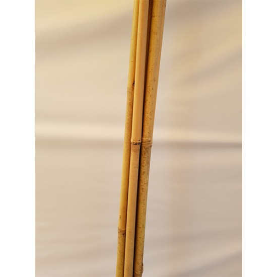 Bamboo rods 20-22 m / 3 m