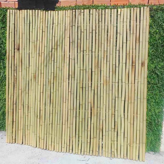Bamboo fence OB06