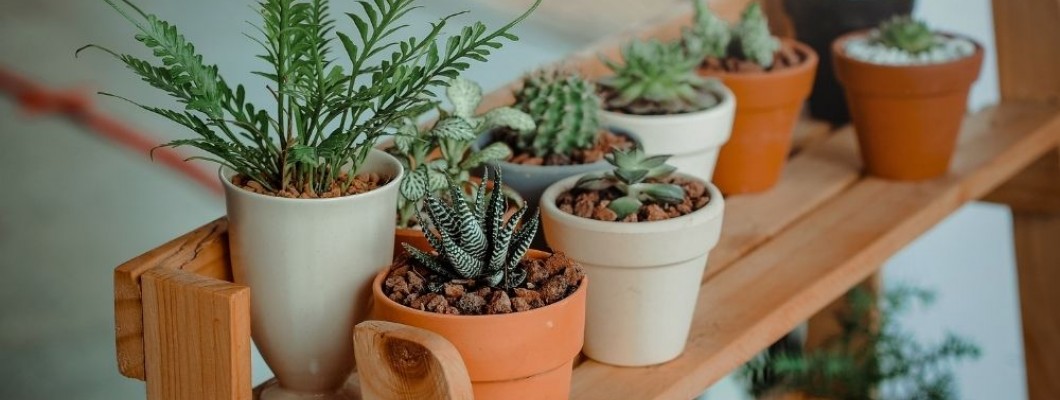 How to decorate your home with artificial plants